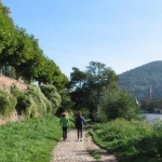Walk